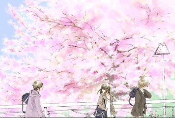 伊匍园2022最新入口